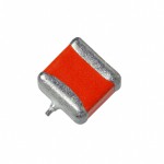 595D107X0016C2W Picture