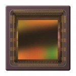 CMV4000-2E5M1PP Picture