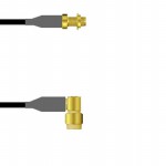 Q-2Y03600081.5M Picture