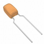 199D106X0020C6V1E3 Picture