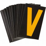 5000-V Picture