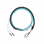 FXTRL7NQSONM009 Picture
