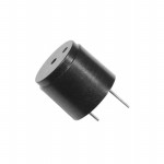 IP154012-1 Picture