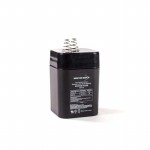 BW 650S LANTERN Picture