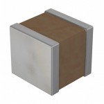 RF1111X103K500KX102T Picture