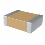 M3253504E2X105KZMB Picture