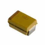 T491R105M020AS Picture