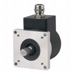 702-07-S-2500-R-HV-1-F-1-SX-N-N Picture