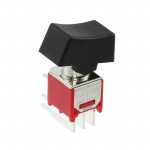RMD1R102M6QES Picture
